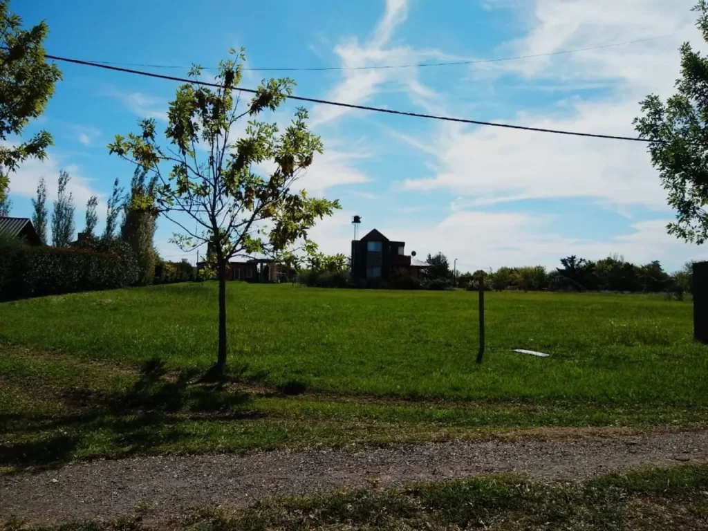 LOTE SOLARES NORTE OLIVEROS