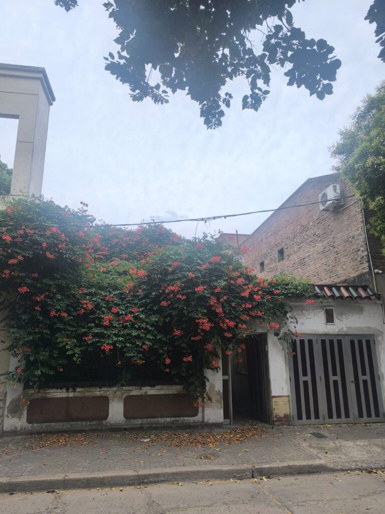 PASAJE VIJANDE 442 (altura Bordabehere al 4.800)